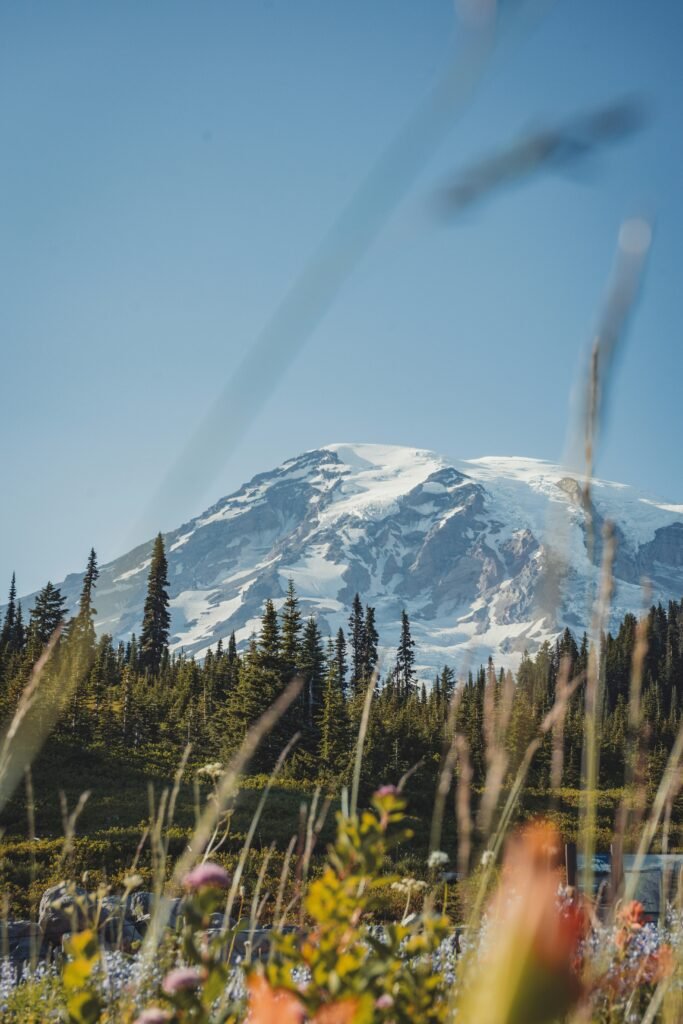 Mount Rainier National Park