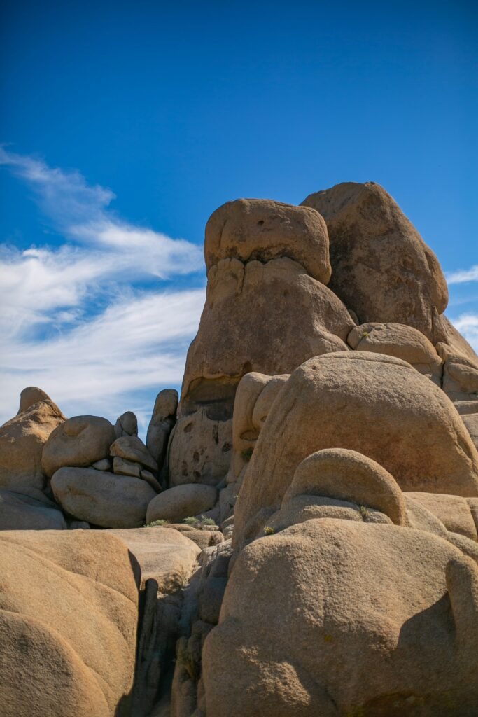 Joshua Tree National Park