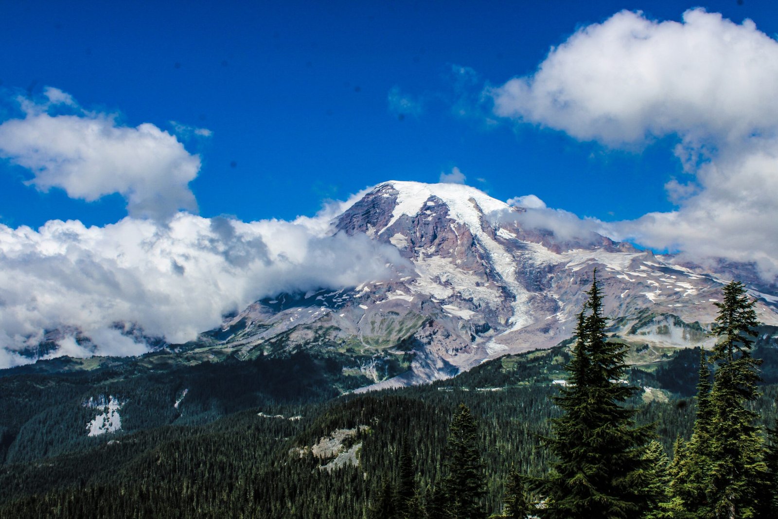 Mount Rainier National Park