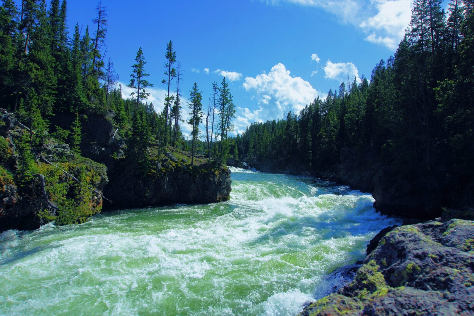 Yellowstone National Park