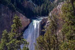 yellowstone national park