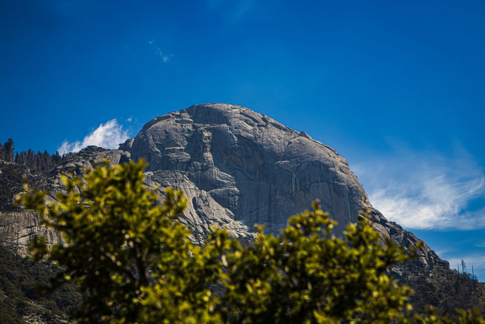 Kings Canyon National Park