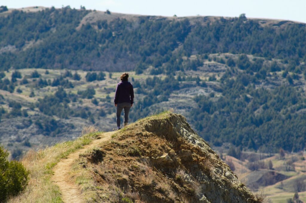 Theodore Roosevelt National Park