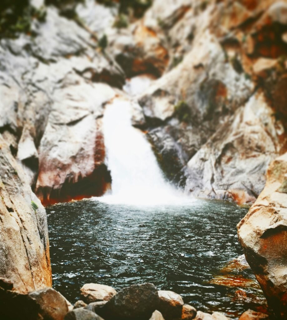 Kings Canyon National Park