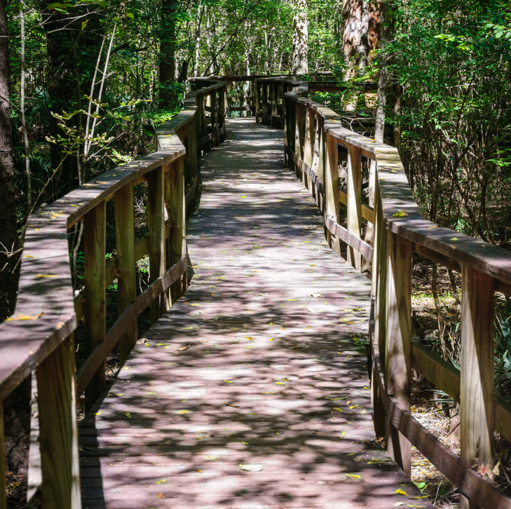 Congaree National Park